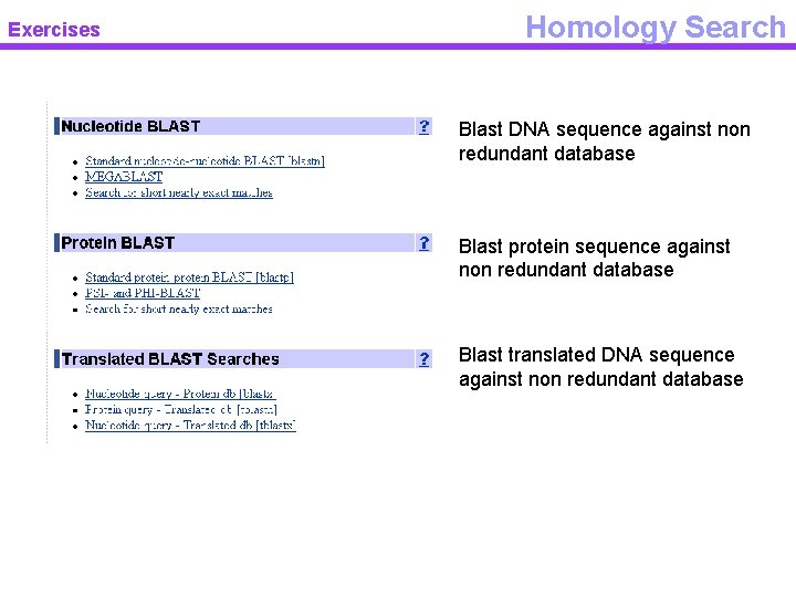Exercises Homology Search Blast DNA sequence against non redundant database Blast protein sequence against