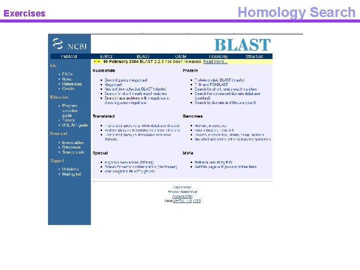 Exercises Homology Search 