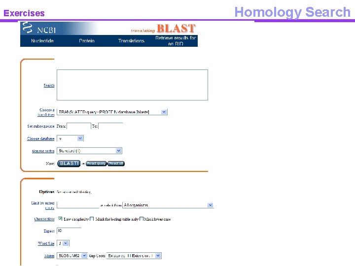 Exercises Homology Search 