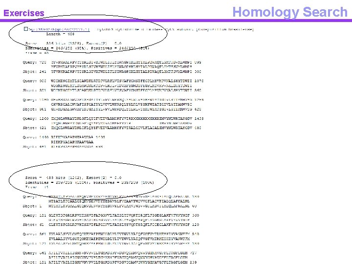 Exercises Homology Search 