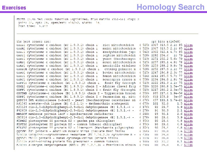 Exercises Homology Search 