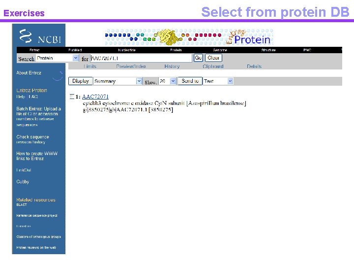 Exercises Select from protein DB 