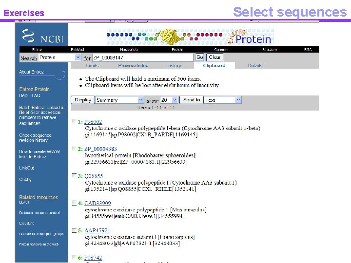 Exercises Select sequences 