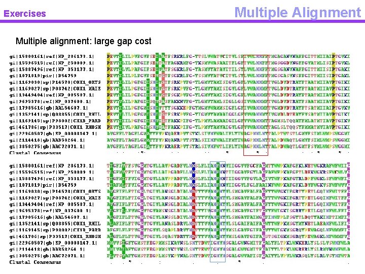 Exercises Multiple alignment: large gap cost Multiple Alignment 