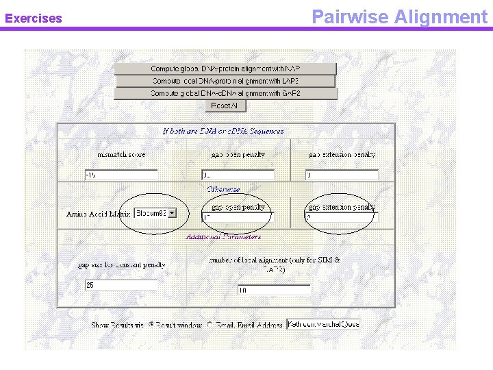 Exercises Pairwise Alignment 