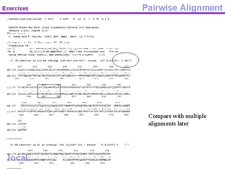 Exercises Pairwise Alignment Compare with multiple alignments later local 