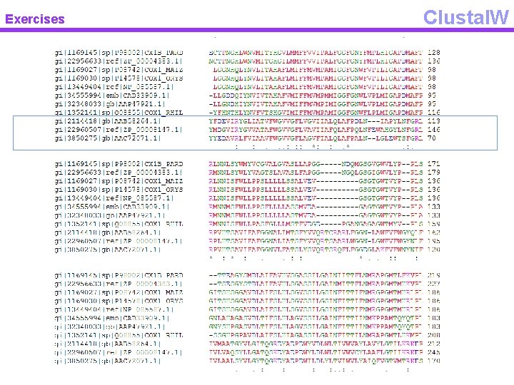 Exercises Clustal. W 