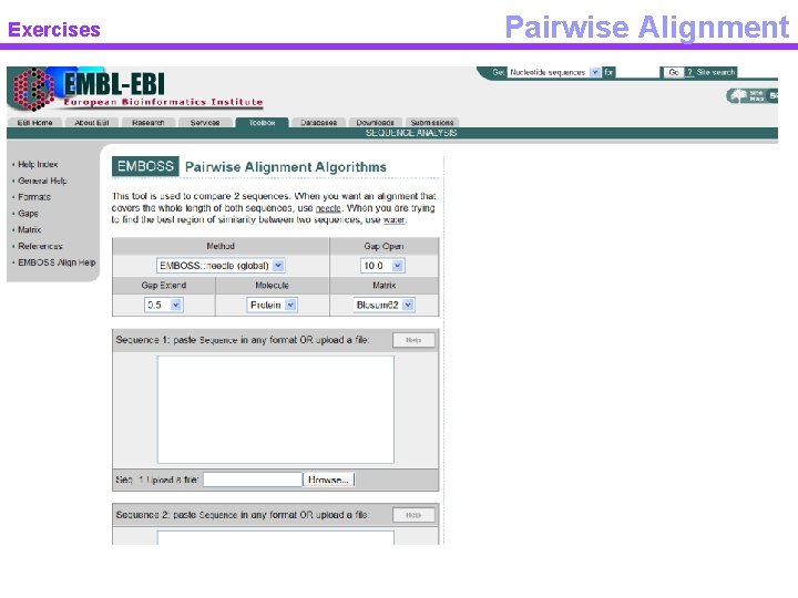 Exercises Pairwise Alignment 