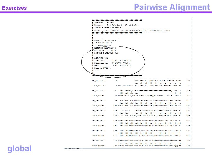 Exercises global Pairwise Alignment 