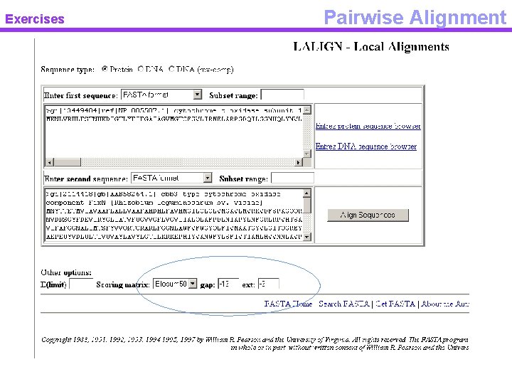 Exercises Pairwise Alignment 