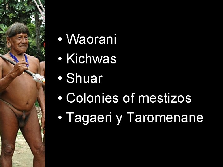  • Waorani • Kichwas • Shuar • Colonies of mestizos • Tagaeri y