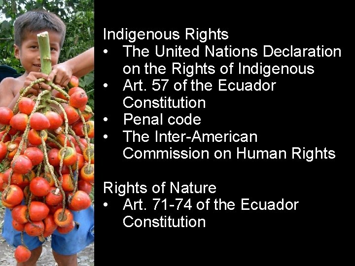 Indigenous Rights • The United Nations Declaration on the Rights of Indigenous • Art.