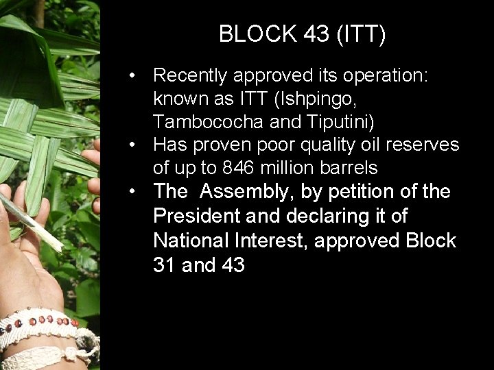 BLOCK 43 (ITT) • Recently approved its operation: known as ITT (Ishpingo, Tambococha and