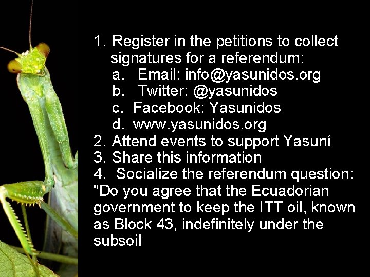 1. Register in the petitions to collect signatures for a referendum: a. Email: info@yasunidos.