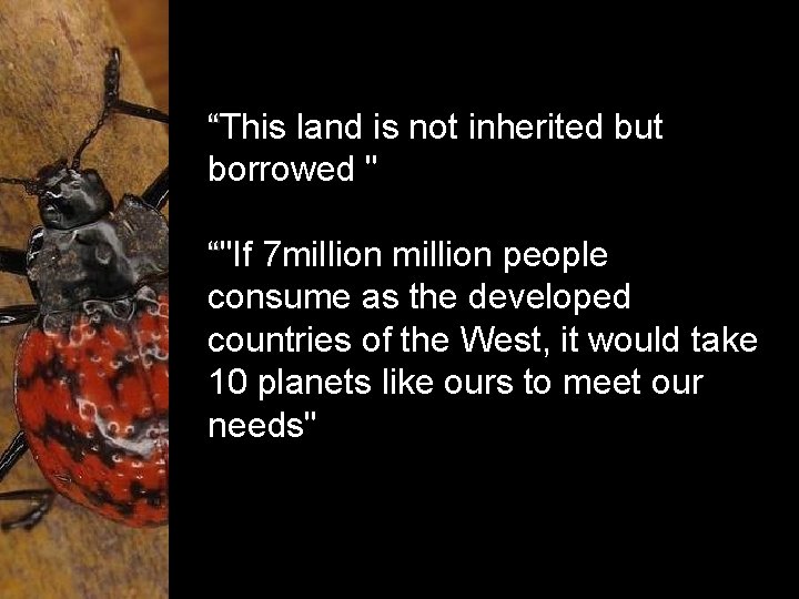 “This land is not inherited but borrowed " “"If 7 million people consume as