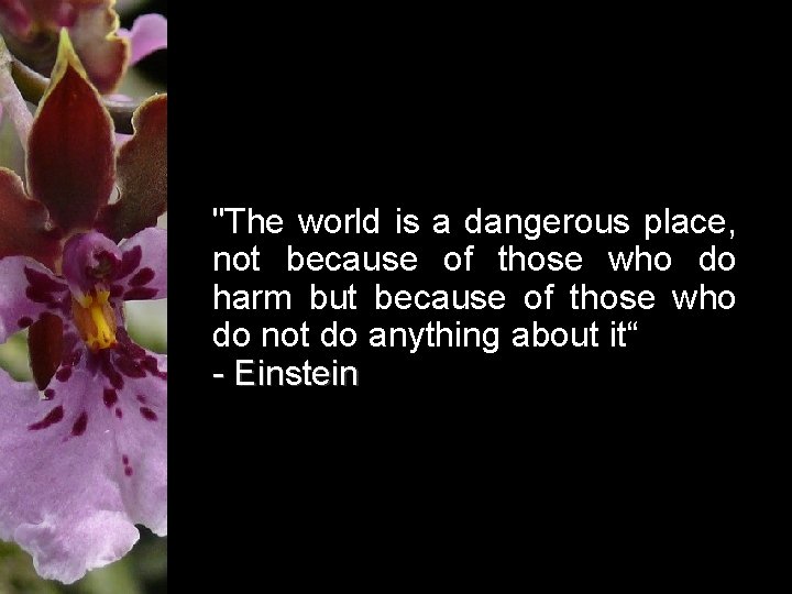 "The world is a dangerous place, not because of those who do harm but
