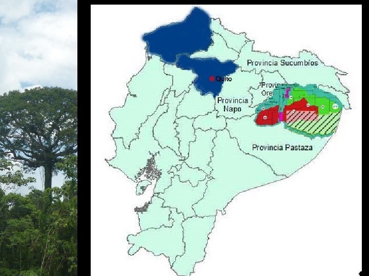  • Provincias de Pastaza y Orellana • Cuenta con 982000 hectáreas; como las