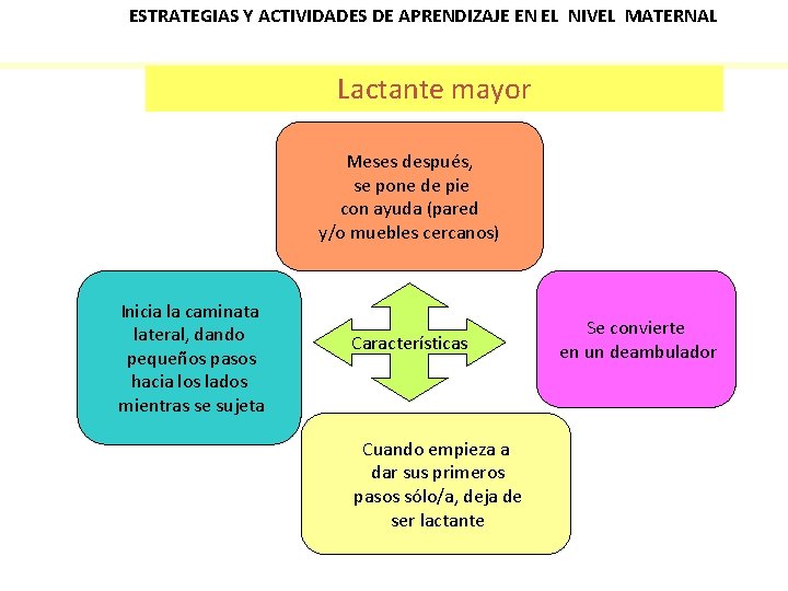 ESTRATEGIAS Y ACTIVIDADES DE APRENDIZAJE EN EL NIVEL MATERNAL Lactante mayor Meses después, se