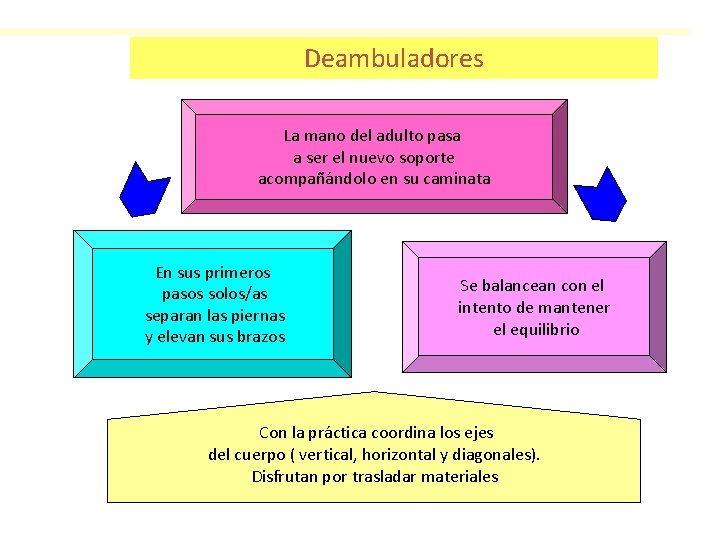 Deambuladores La mano del adulto pasa a ser el nuevo soporte acompañándolo en su