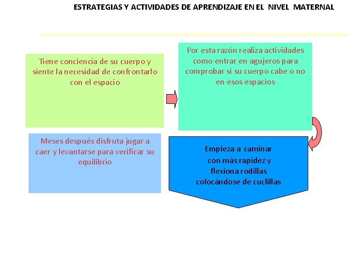 ESTRATEGIAS Y ACTIVIDADES DE APRENDIZAJE EN EL NIVEL MATERNAL Tiene conciencia de su cuerpo