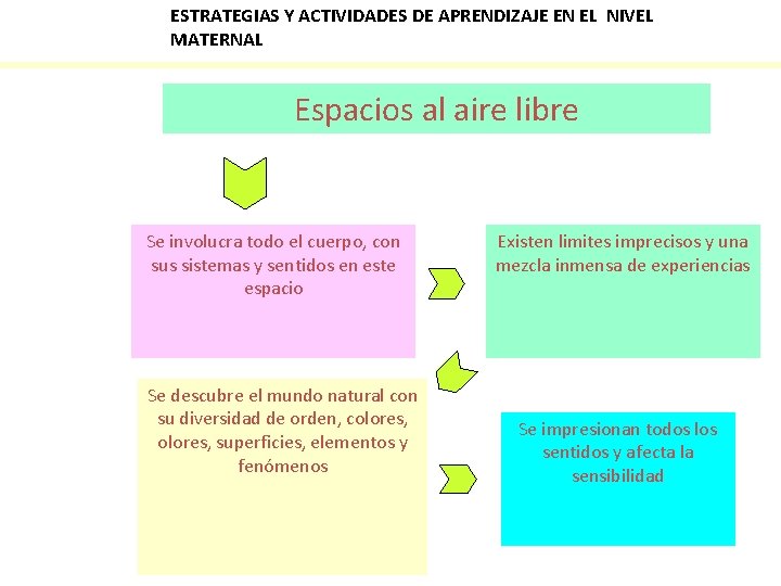 ESTRATEGIAS Y ACTIVIDADES DE APRENDIZAJE EN EL NIVEL MATERNAL Espacios al aire libre Se