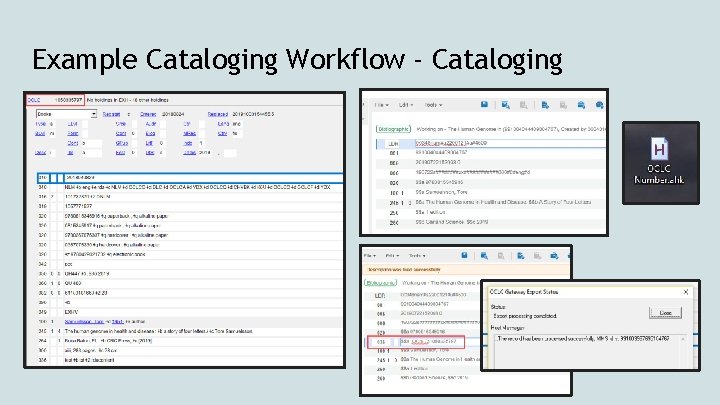 Example Cataloging Workflow - Cataloging 