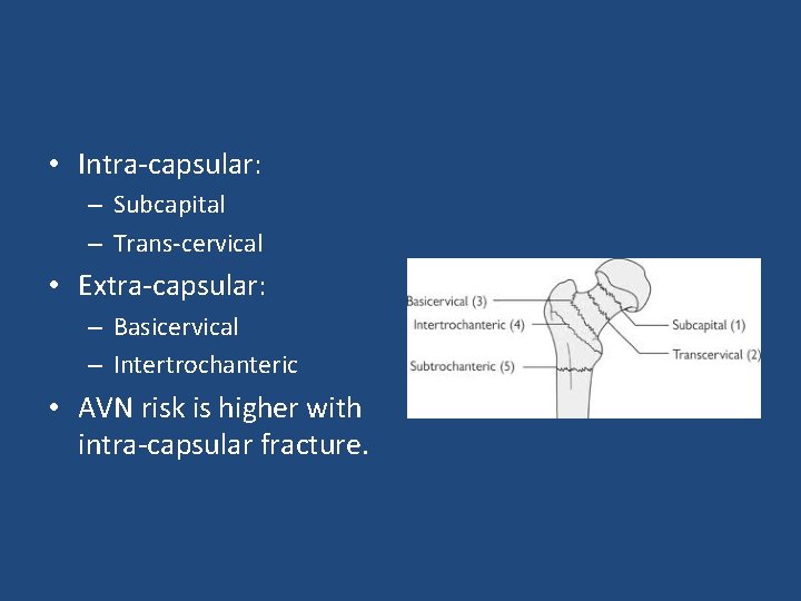  • Intra-capsular: – Subcapital – Trans-cervical • Extra-capsular: – Basicervical – Intertrochanteric •