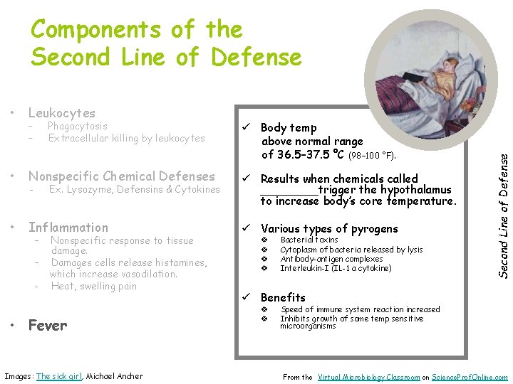  • Leukocytes • Nonspecific Chemical Defenses ü Results when chemicals called ____trigger the