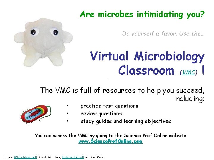 Are microbes intimidating you? Do yourself a favor. Use the… Virtual Microbiology Classroom (VMC)