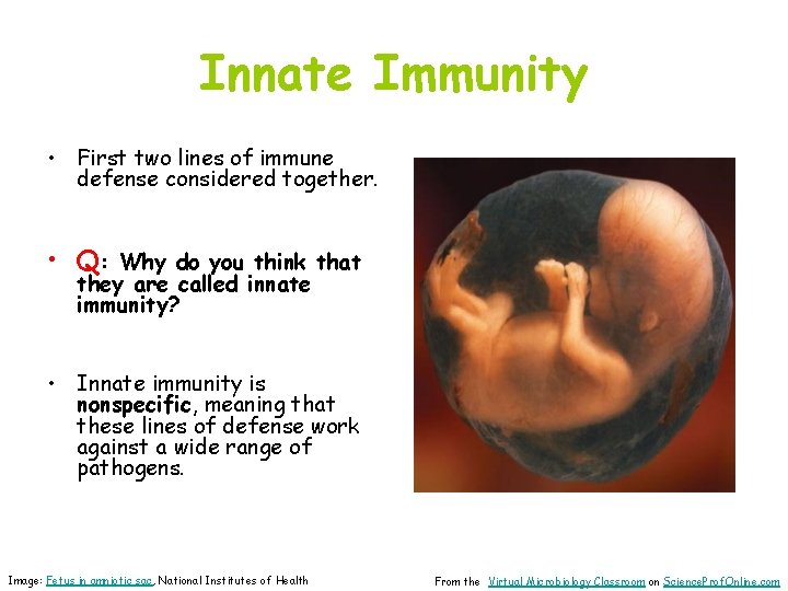 Innate Immunity • First two lines of immune defense considered together. • Q: Why