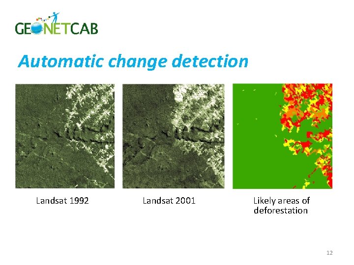 Automatic change detection Landsat 1992 Landsat 2001 Likely areas of deforestation 12 