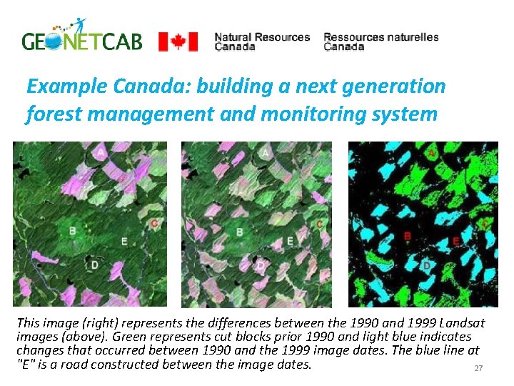 Example Canada: building a next generation forest management and monitoring system This image (right)