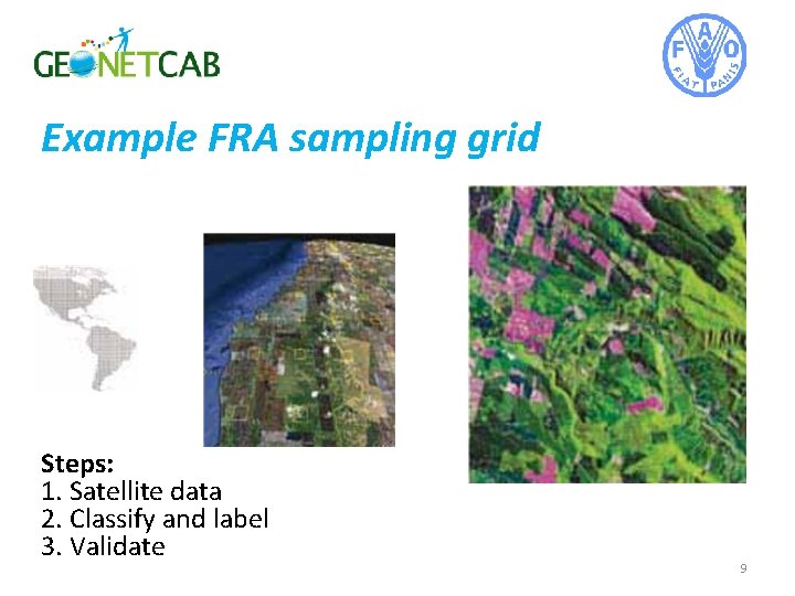 Example FRA sampling grid Steps: 1. Satellite data 2. Classify and label 3. Validate