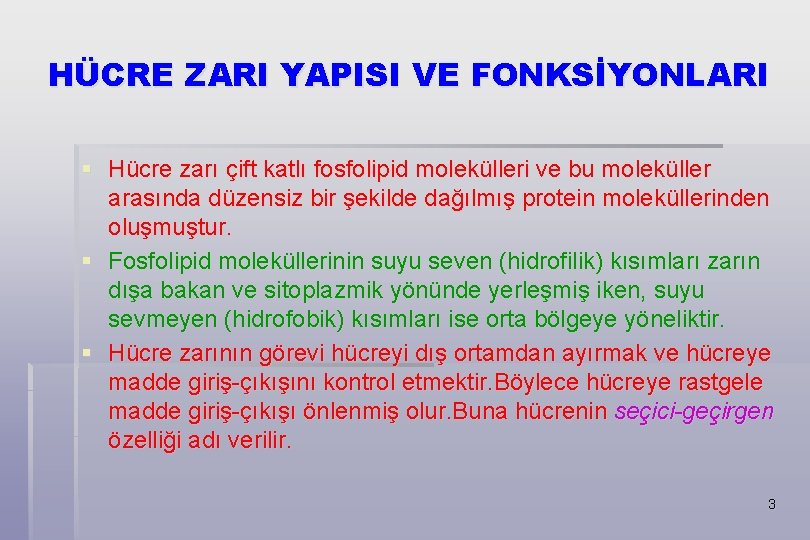 HÜCRE ZARI YAPISI VE FONKSİYONLARI § Hücre zarı çift katlı fosfolipid molekülleri ve bu