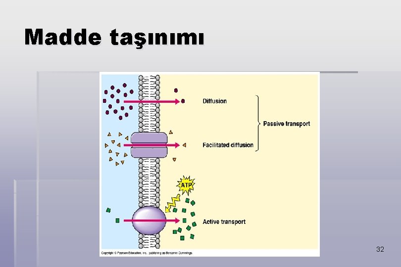 Madde taşınımı 32 