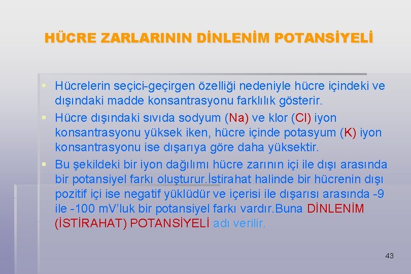 HÜCRE ZARLARININ DİNLENİM POTANSİYELİ § Hücrelerin seçici-geçirgen özelliği nedeniyle hücre içindeki ve dışındaki madde