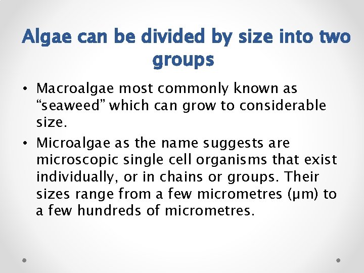  Algae can be divided by size into two groups • Macroalgae most commonly