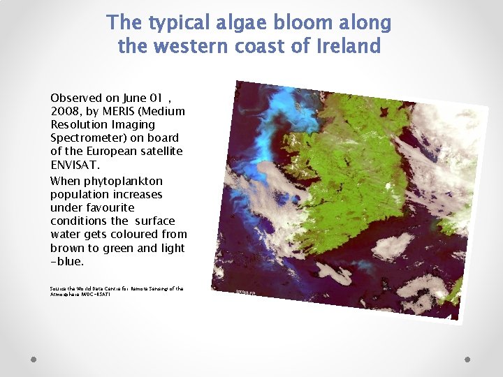 The typical algae bloom along the western coast of Ireland Observed on June 01