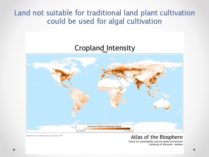 Land not suitable for traditional land plant cultivation could be used for algal cultivation