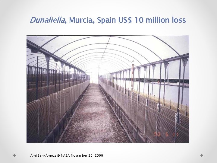 Dunaliella, Murcia, Spain US$ 10 million loss Ami Ben-Amotz @ NASA November 20, 2008