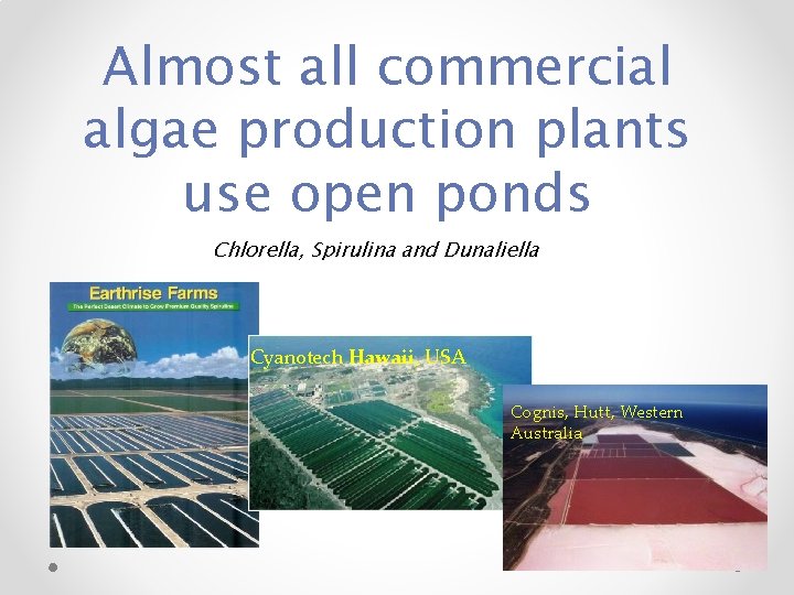 Almost all commercial algae production plants use open ponds Chlorella, Spirulina and Dunaliella Cyanotech