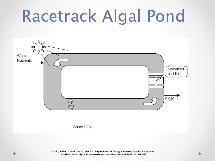 Racetrack Algal Pond NREL, 1998. A Look Back at the U. S. Department of