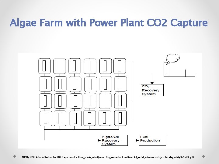 Algae Farm with Power Plant CO 2 Capture NREL, 1998. A Look Back at