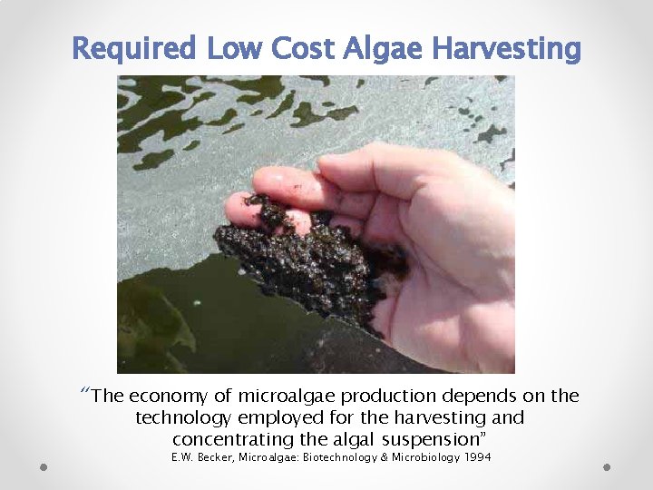 Required Low Cost Algae Harvesting “The economy of microalgae production depends on the technology