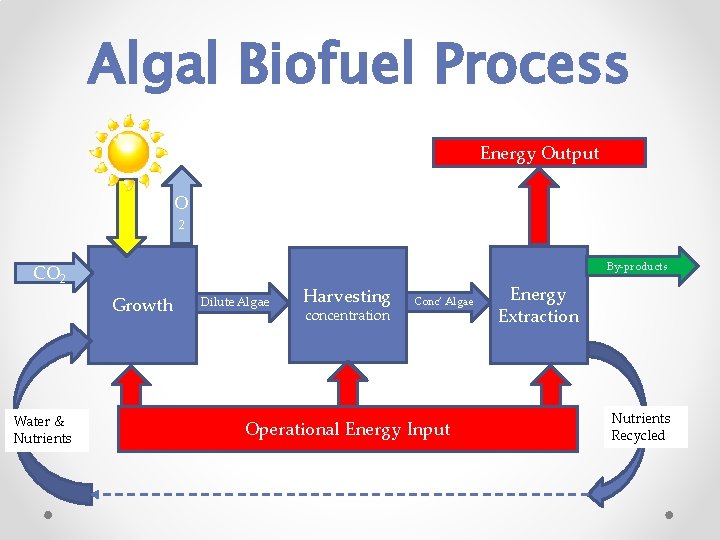 Algal Biofuel Process Energy Output O 2 By‑products CO 2 Growth Water & Nutrients