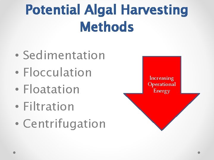 Potential Algal Harvesting Methods • • • Sedimentation Flocculation Floatation Filtration Centrifugation Increasing Operational