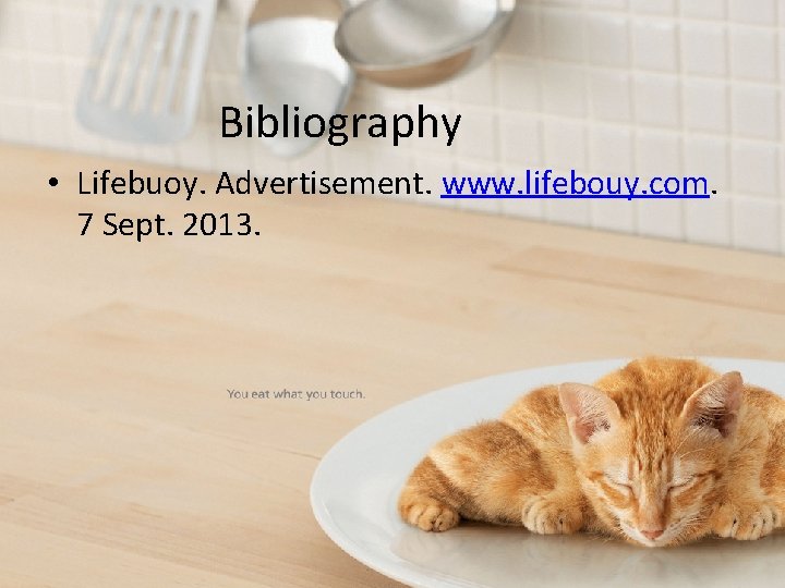 Bibliography • Lifebuoy. Advertisement. www. lifebouy. com. 7 Sept. 2013. 
