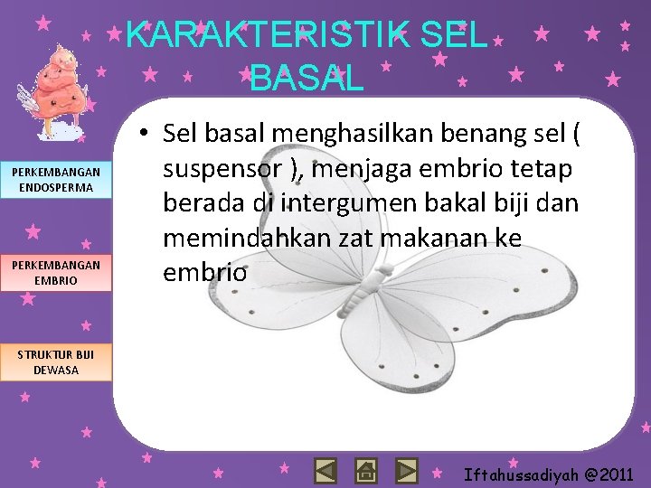 KARAKTERISTIK SEL BASAL PERKEMBANGAN ENDOSPERMA PERKEMBANGAN EMBRIO • Sel basal menghasilkan benang sel (