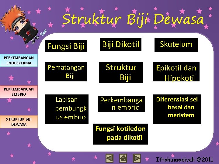 Struktur Biji Dewasa PERKEMBANGAN ENDOSPERMA PERKEMBANGAN EMBRIO STRUKTUR BIJI DEWASA Fungsi Biji Dikotil Skutelum