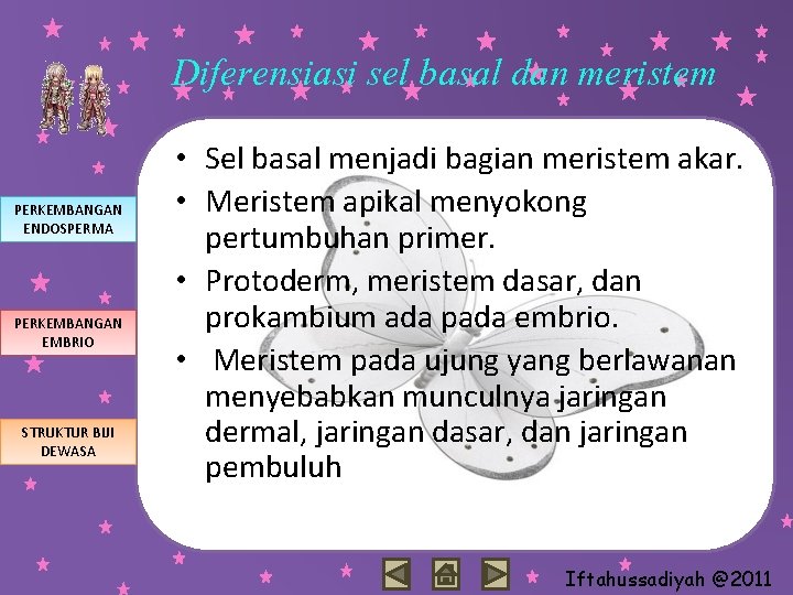 Diferensiasi sel basal dan meristem PERKEMBANGAN ENDOSPERMA PERKEMBANGAN EMBRIO STRUKTUR BIJI DEWASA • Sel